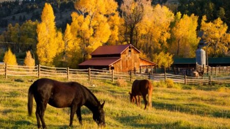 Aspen Valley Ranch, Colorado property sold in pieces for $47M